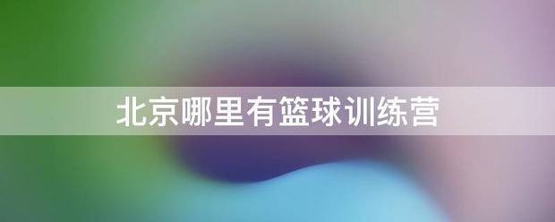 北京大兴巅峰篮球训练营